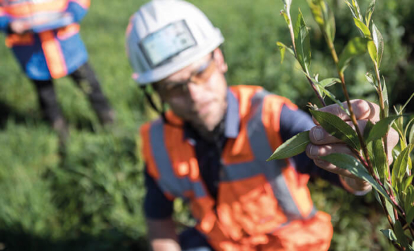 blurred background with high-vis person holding twig with leaves to camera